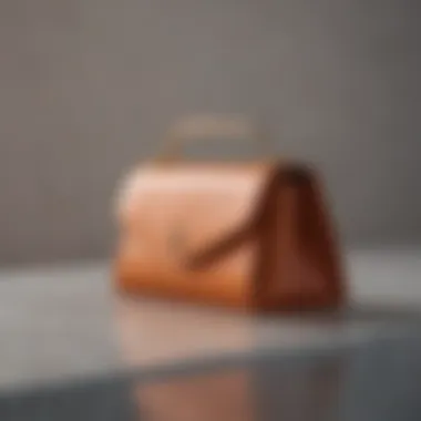 Minimalist purse holder design on a sleek countertop