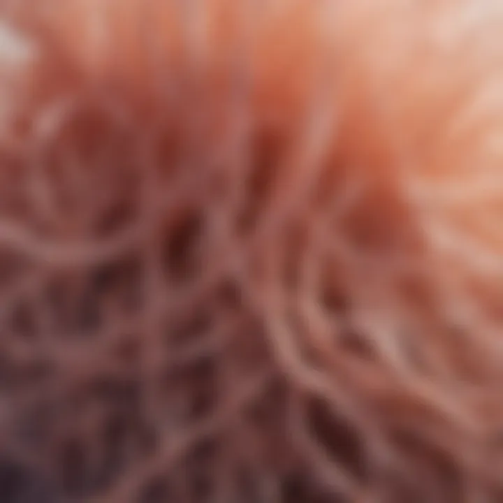 Close-up of synthetic fibers showcasing their texture and quality