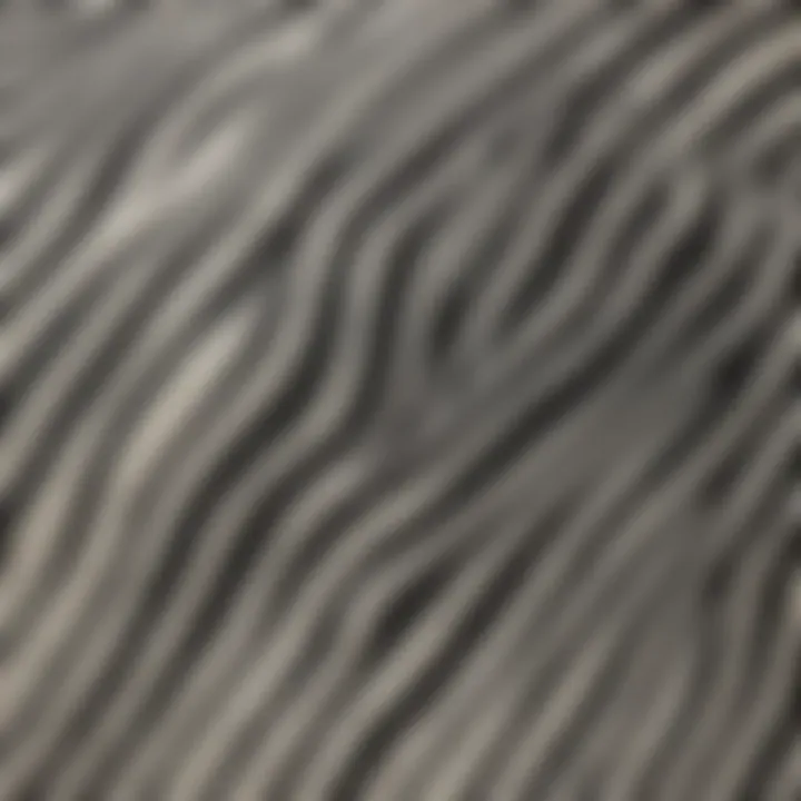 Close-up of zebra print fabric texture