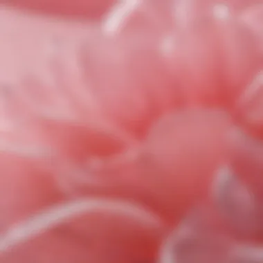Close-Up of Silicone Gel Petals Texture Close-up view showcasing the texture and flexibility of silicone gel petals
